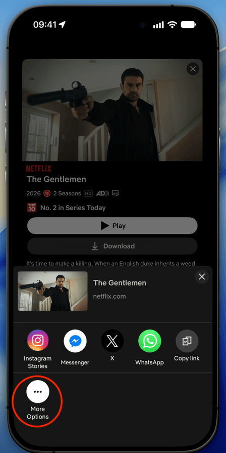 Netflix's own in-app share sheet, with More Options circled